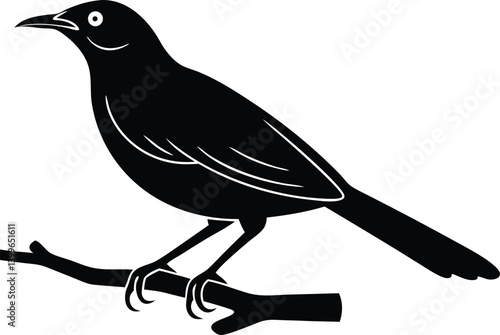 Beautiful honeyeater sitting forward on big branch silhouette black color vector illustration 