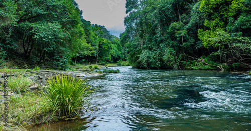 Fluss an den Gardner Falls im Hinterland von sunshine Coast, Australien