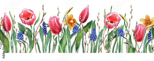 Seamless border made of pussy willow, sallow branches, pink tulips, yellow daffodils, narcissi and blue grape hyacinth, muscari. Watercolor illustration. For clip art greeting cards invitation.