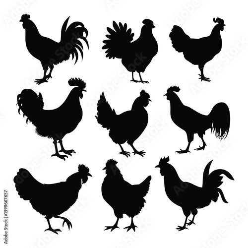 Chicken and Rooster Silhouette Vector Set.