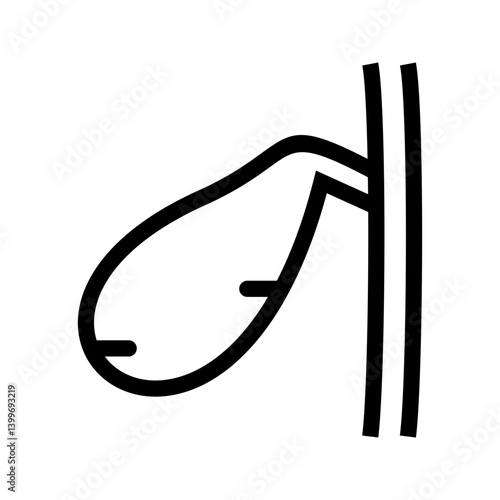 Gallbladder icon vector image. Suitable for mobile apps, web apps and print media.