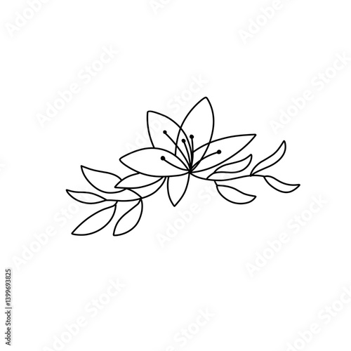 lily flower outline