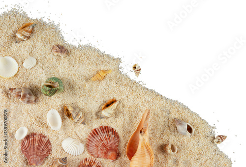 Fototapeta Naklejka Na Ścianę i Meble -  sea shells and starfish corner decoration