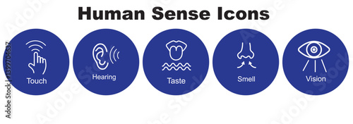 Human sense icons. Five human senses icons. Vision smell hearing touch taste senses fillings. Five fillings icons. Vector Illustration. Vector Graphic.