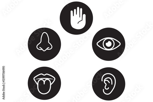 Human sense icons. Five human senses icons. Vision smell hearing touch taste senses fillings. Five fillings icons. Vector Illustration. Vector Graphic.