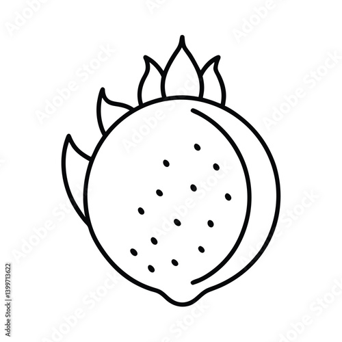 pitaya fruit line art vector illustration