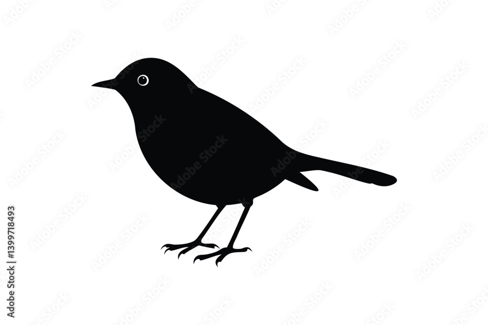 Obraz premium A robin bird silhouette