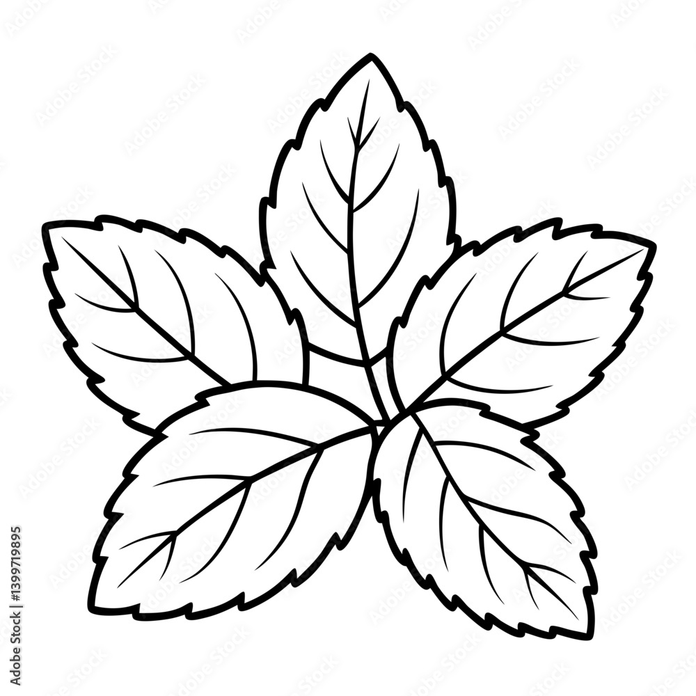 Fototapeta premium Mint Leaves Outline Coloring Book Page Line Art