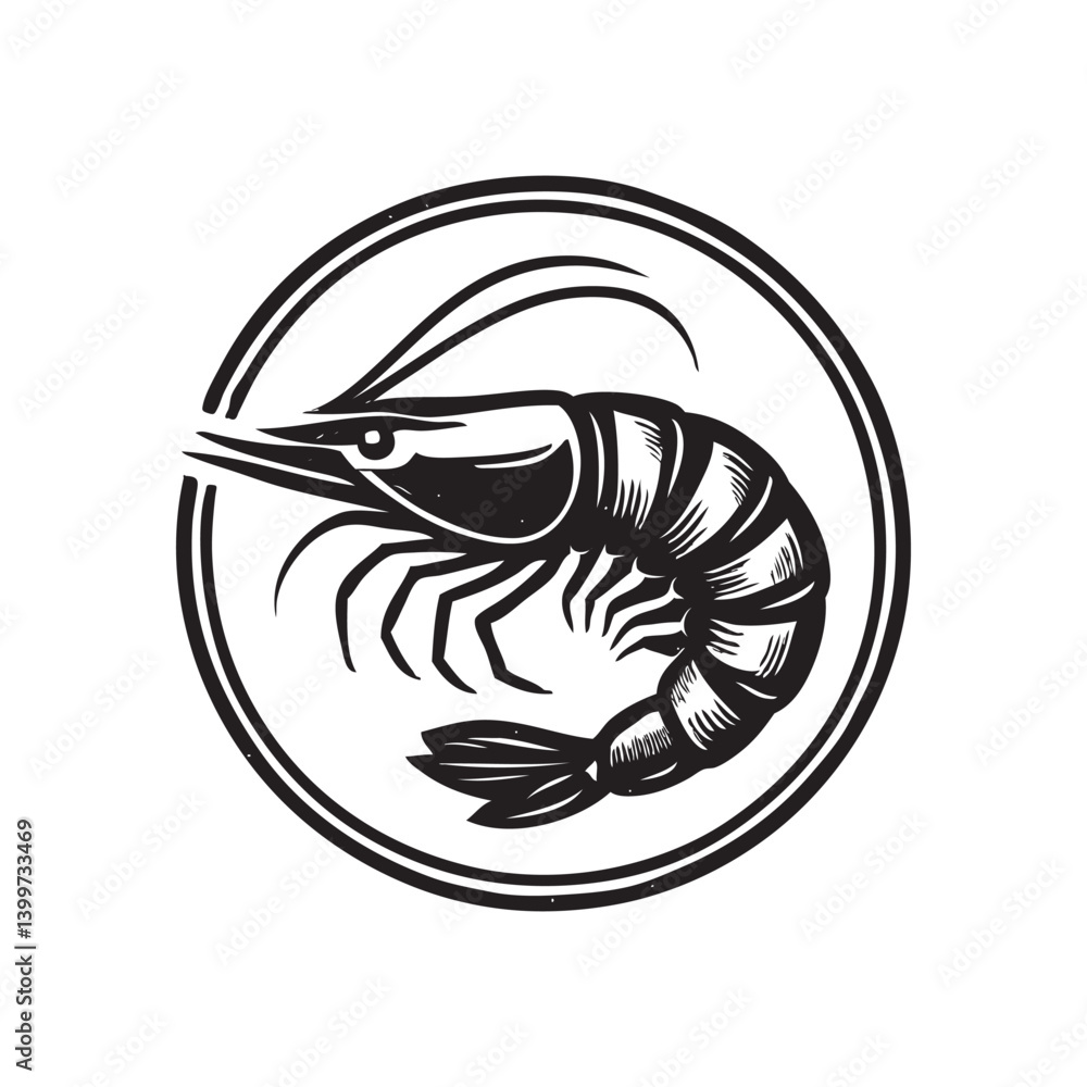 vector illustration of a shrimp vector illustration of a shrimp