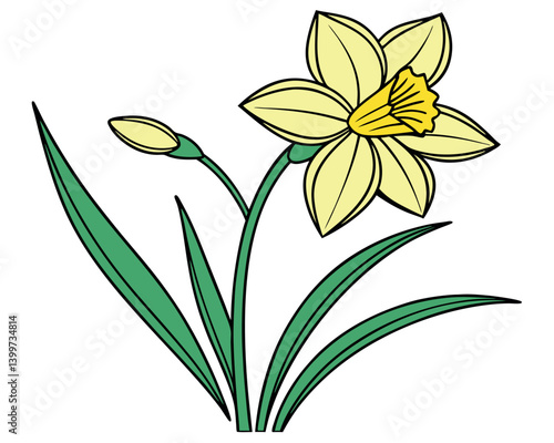 Bright yellow daffodil flower illustration with green leaves and stem. Cheerful golden daffodil drawing with trumpet-shaped corona and petals. 