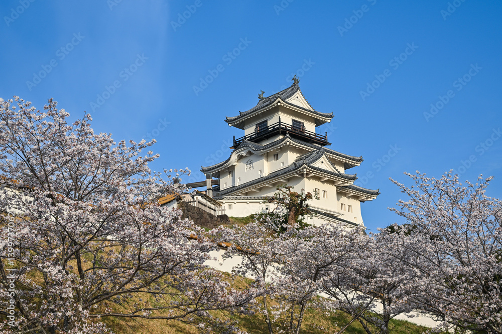 掛川城・2025年4月 掛川城・2025年4月