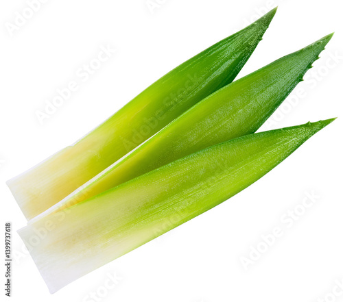 Pineapple leaf isolated png. Pineapple leaves on transparent background. Cut pineapple leaf no background top view. Three pineapple leaves transparent png. Full depth of field.