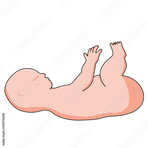 Science of hand drawn vector new born baby or  fetus baby clipart.