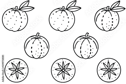 Wallpaper Mural clementine line art black and white fruit sketch Torontodigital.ca