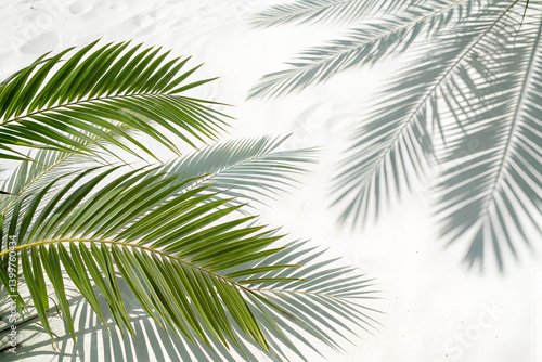 Tropical Palm Leaves Shadow Overlay on White Background - PNG Design Element