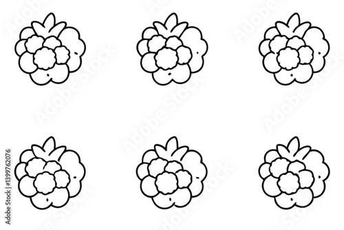 cloudberry line art beautiful minimalist botanical design