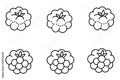 cloudberry line art charming modern graphic illustration