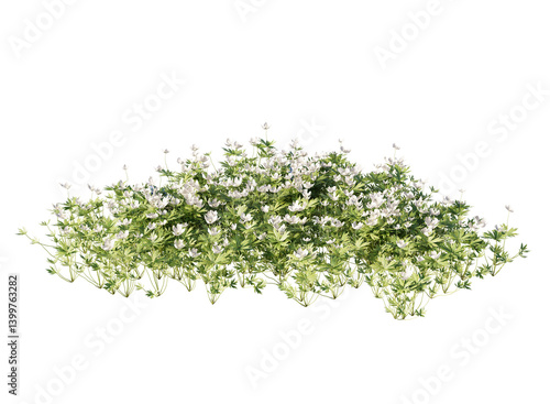 Various types of flowers grass bushes shrub and small plants isolated