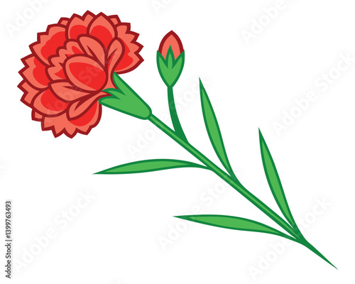Vibrant red carnation flower illustration with green stem and leaves. Beautiful scarlet carnation drawing with textured petals and a closed bud. 