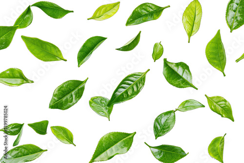 various green tea leaves scattered on a white background showcasing their different shapes and sizes ideal for use in design culinary or botanical contexts