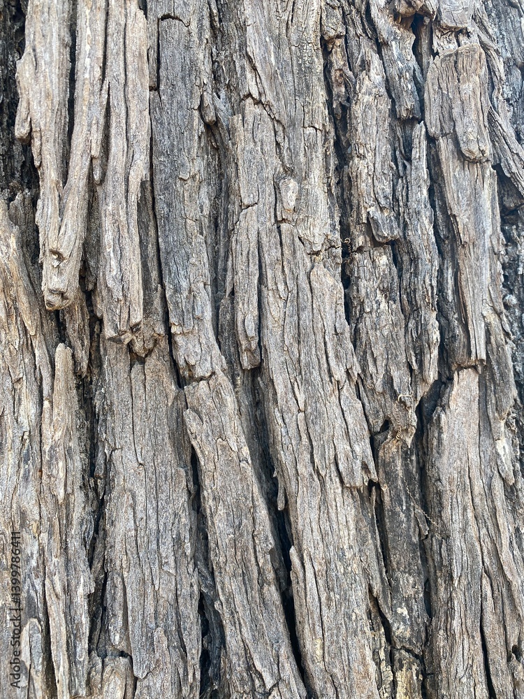 Textured tree bark close-up in nature detailed image of natural environment