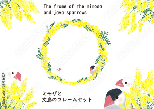 ミモザと桜文鳥と白文鳥のフレームセット