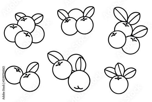 cranberry line art vintage style illustration with smooth curves