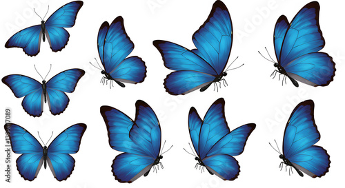 Seamless pattern background featuring multiple small blue butterflies arranged neatly in rows on a clean white surface design graphic.