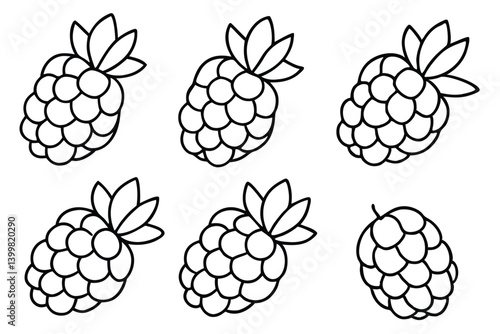 sea berry line art black and white fruit