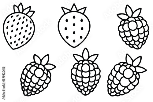 sea berry line art hand drawn vintage illustration