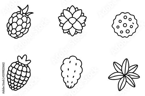 sea berry line art isolated berry plant graphic
