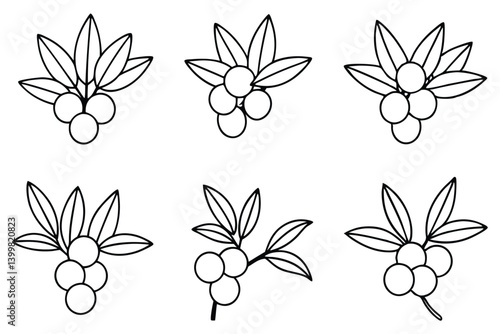 sea buckthorn line art minimalist floral ink outline