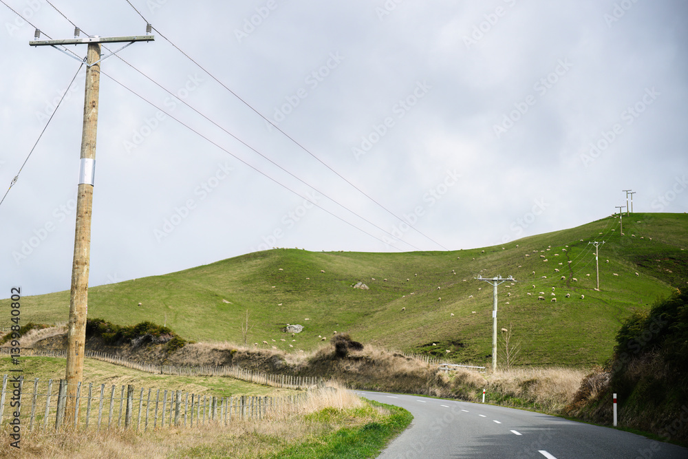 Power post and power lines on green rolling hill. Sheep grazing on the hill. North Island. New Zealand.