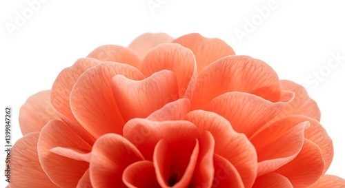 Wallpaper Mural Coral Bloom's Embrace AI Generated Torontodigital.ca