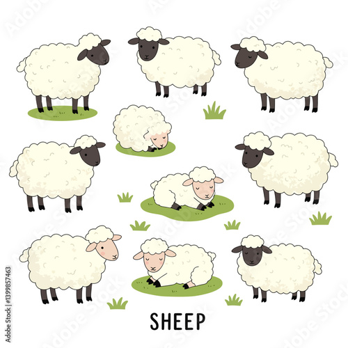 Cartoon sheep set with vector illustration.