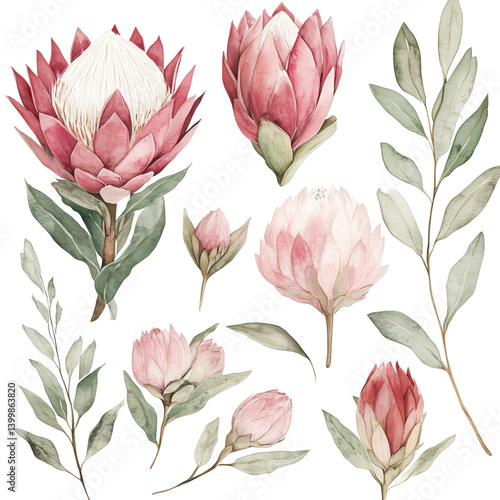 Fototapeta Naklejka Na Ścianę i Meble -  vintage clipart flower.