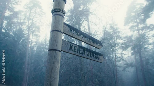 Misty Morning Trail Marker in Estonia