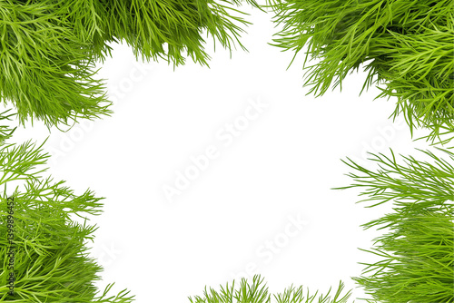 Wallpaper Mural Fresh dill sprigs create vibrant natural frame against clean white background. Ideal visual element for food blogs, recipe cards, wellness content. Use this healthy green frame for organic look. Torontodigital.ca