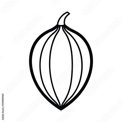 morinda fruit line art vector illustration