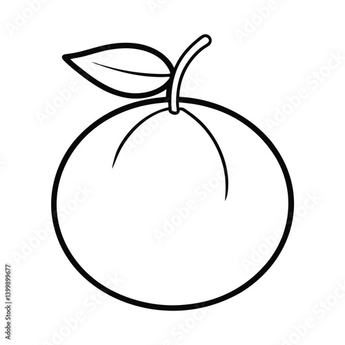 mandarins fruit line art vector illustration