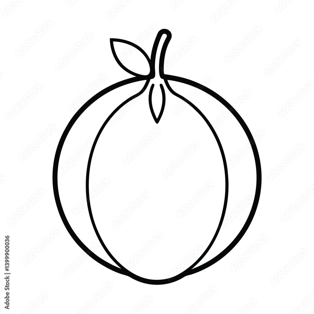 koroi fruit line art vector illustration koroi fruit line art vector illustration