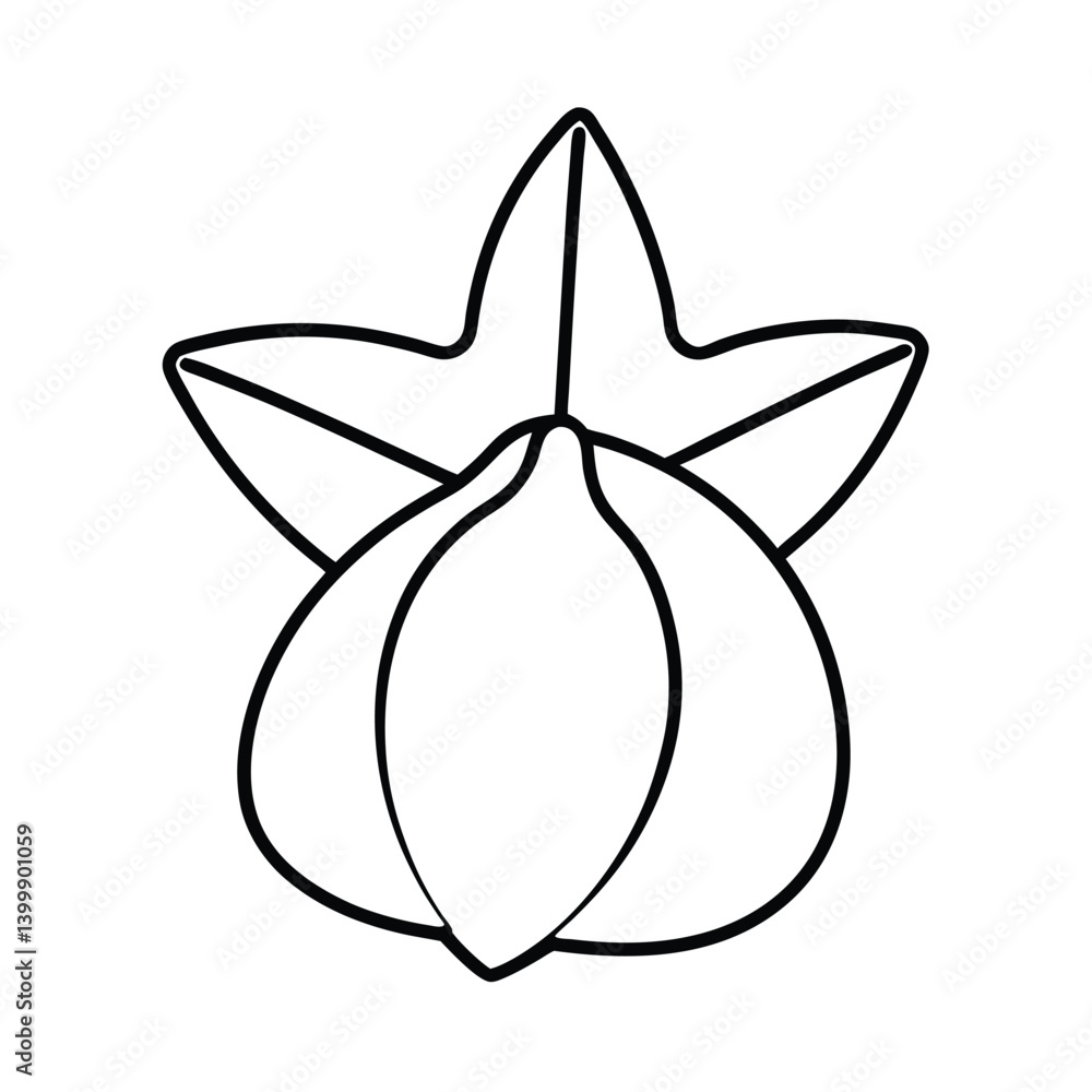 carambola fruit line art vector illustration carambola fruit line art vector illustration