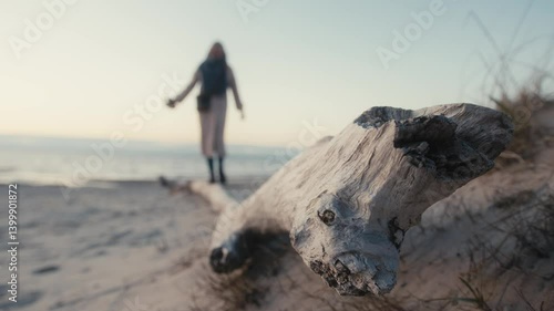 Wallpaper Mural Weathered Driftwood in Focus as Woman Balances by the Sea at Sunset Torontodigital.ca