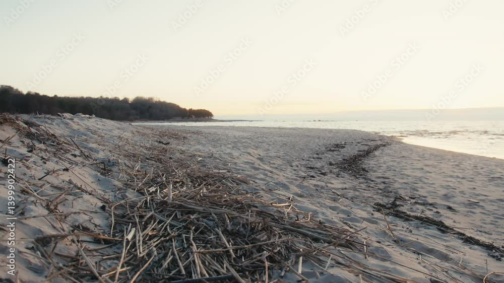 custom made wallpaper toronto digitalPeaceful Estonian Beach with Gentle Shoreline Curves at Dusk