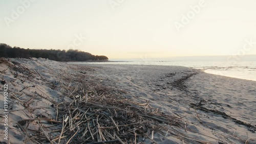 Wallpaper Mural Peaceful Estonian Beach with Gentle Shoreline Curves at Dusk Torontodigital.ca