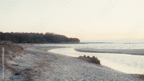 Wallpaper Mural Quiet Shoreline with Sand Dunes and Forest Torontodigital.ca