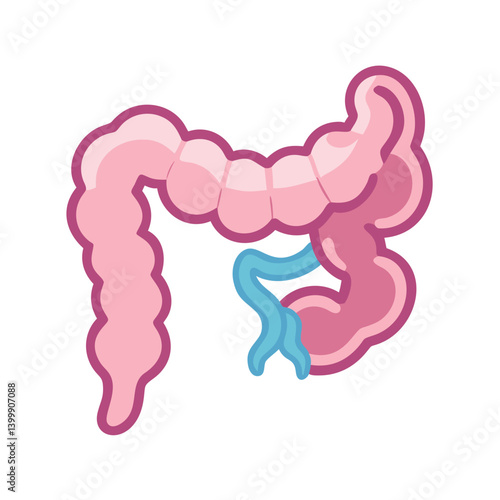  Creative Appendix Anatomy Icon
