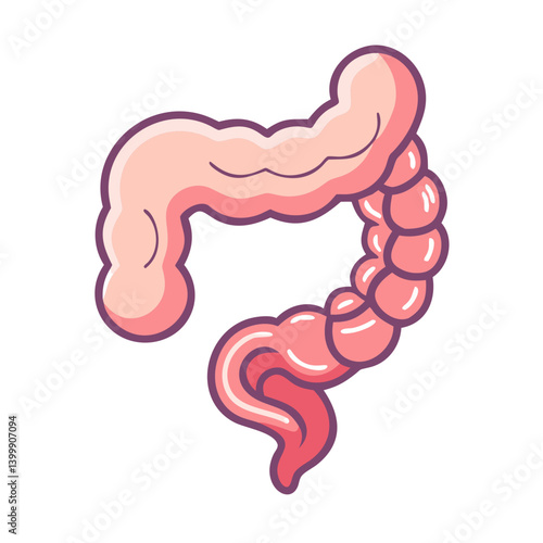  Stylish Appendix Anatomy Icon