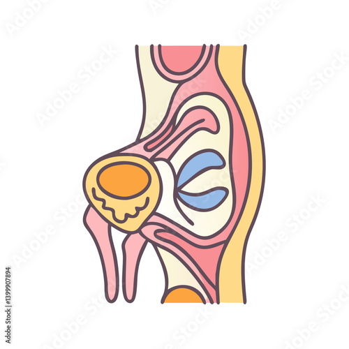  Cartilage Anatomy Icon Design