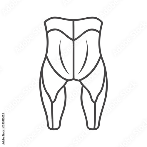  Stylish Gluteus Maximus Muscle Anatomy Icon